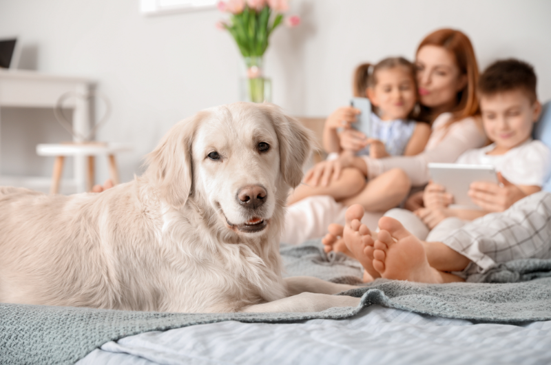 Comfortable Home Touchstone Living Las Vegas